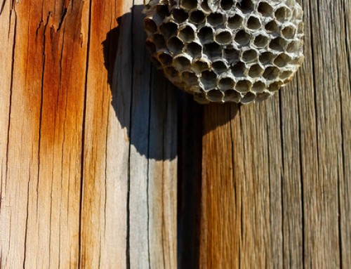 La lettre aux adhérents Avril 2026